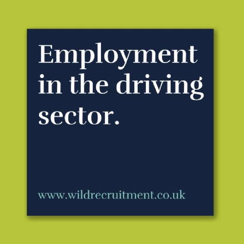 Employment in the Driving Sector